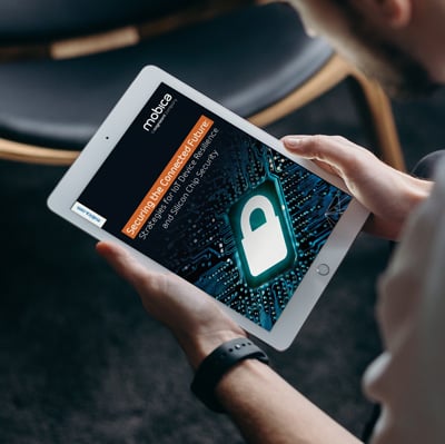Securing the Connected Future: Strategies for IoT Device Resilience and Silicon Chip Security